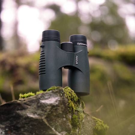Focus Optimum 8x42 ED - lornetka obserwacyjna, 8x, 42mm - przykładowe zdjęcie